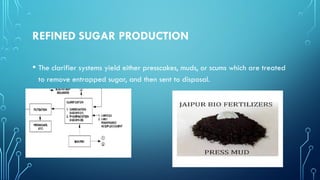 REFINED SUGAR PRODUCTION
• The clarifier systems yield either presscakes, muds, or scums which are treated
to remove entrapped sugar, and then sent to disposal.
 