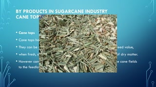 BY PRODUCTS IN SUGARCANE INDUSTRY
CANE TOPS
• Cane tops
• Cane tops have no real market value
• They can be compared to fair quality fodder with an average feed value,
• when fresh, of about 2.8 MJ of metabolizable energy per kilo of dry matter.
• However cane tops should be collected and transported from the cane fields
to the feedlot
 