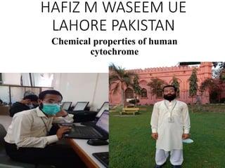 HAFIZ M WASEEM UE
LAHORE PAKISTAN
Chemical properties of human
cytochrome
 