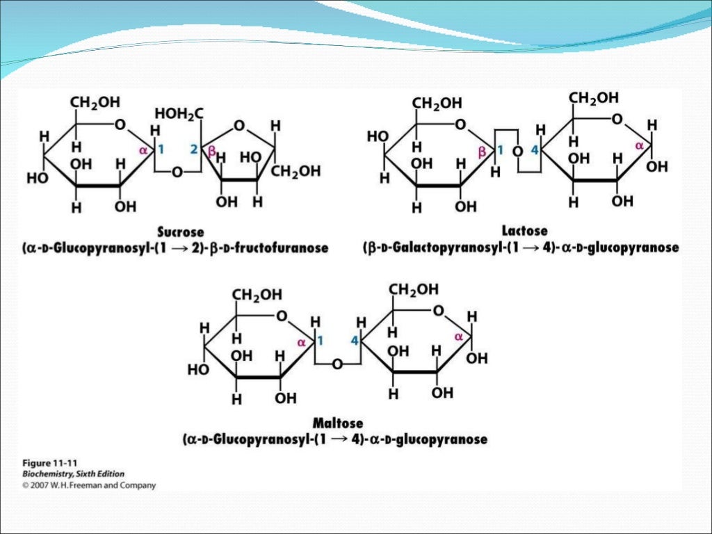 Chemical properties of monosaccharides