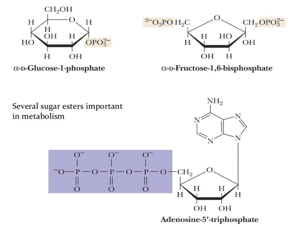 Chemical properties of monosaccharides