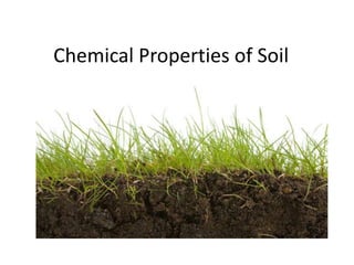 Chemical Properties of Soil

 