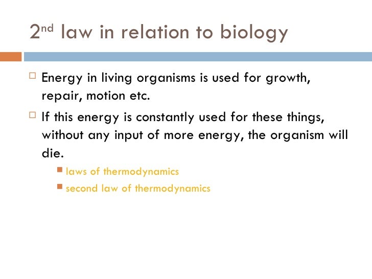 Chemical reactions and thermodynamics