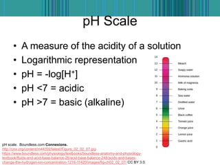 pH Scale
• A measure of the acidity of a solution
• Logarithmic representation
• pH = -log[H+]
• pH <7 = acidic
• pH >7 = basic (alkaline)
pH scale. Boundless.com Connexions.
http://cnx.org/content/m44392/latest/Figure_02_02_07.jpg
https://www.boundless.com/physiology/textbooks/boundless-anatomy-and-physiology-
textbook/fluids-and-acid-base-balance-26/acid-base-balance-248/acids-and-bases-
change-the-hydrogen-ion-concentration-1216-11420/images/fig-ch02_02_07/ CC BY 3.0.
 