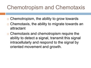 Chemical requirement for Fungal Growth | PPTX