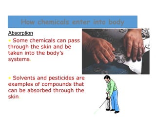 Absorption
• Some chemicals can pass
through the skin and be
taken into the body’s
systems.
• Solvents and pesticides are
examples of compounds that
can be absorbed through the
skin.
How chemicals enter into body
 