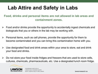 Lab Attire and Safety in Labs
Food, drinks and personal items are not allowed in lab areas and
containment zones.
 Food and/or drinks provide the opportunity to accidentally ingest chemicals and
biologicals that you or others in the lab may be working with.
 Personal items, such as cell phones, provide the opportunity for them to
become contaminated and you can bring this contamination home with you.
 Use designated food and drink areas within your area to store, eat and drink
your food and drinks.
 Do not store your food inside fridges and freezers that are used to store cells,
cultures, chemicals, pharmaceuticals, etc. Use a designated lunch room fridge.
 