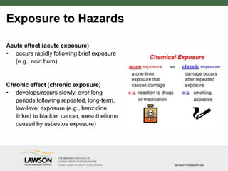 Exposure to Hazards
Acute effect (acute exposure)
• occurs rapidly following brief exposure
(e.g., acid burn)
Chronic effect (chronic exposure)
• develops/recurs slowly, over long
periods following repeated, long-term,
low-level exposure (e.g., benzidine
linked to bladder cancer, mesothelioma
caused by asbestos exposure)
 