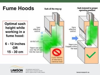 Fume Hoods
Optimal sash
height while
working in a
fume hood:
6 - 12 inches
OR
15 - 30 cm
 