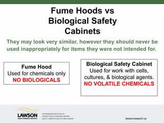 Fume Hoods vs
Biological Safety
Cabinets
They may look very similar, however they should never be
used inappropriately for items they were not intended for.
Fume Hood
Used for chemicals only
NO BIOLOGICALS
Biological Safety Cabinet
Used for work with cells,
cultures, & biological agents.
NO VOLATILE CHEMICALS
 