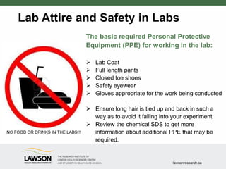 Lab Attire and Safety in Labs
The basic required Personal Protective
Equipment (PPE) for working in the lab:
 Lab Coat
 Full length pants
 Closed toe shoes
 Safety eyewear
 Gloves appropriate for the work being conducted
 Ensure long hair is tied up and back in such a
way as to avoid it falling into your experiment.
 Review the chemical SDS to get more
information about additional PPE that may be
required.
NO FOOD OR DRINKS IN THE LABS!!!
 