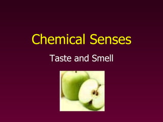 Chemical Senses Taste and Smell 