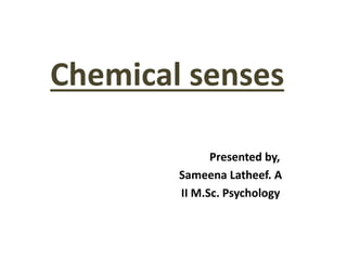 Chemical senses
Presented by,
Sameena Latheef. A
II M.Sc. Psychology
 