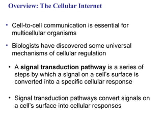 Comprehensive Exploration of Cellular Signal Transduction Pathways and ...