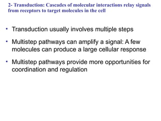 Comprehensive Exploration of Cellular Signal Transduction Pathways and ...