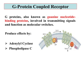 G-Protein Coupled Receptor
G proteins, also known as guanine nucleotide-
binding proteins, involved in transmitting signals
and function as molecular switches.
Produce effects by:
 Adenylyl Cyclase
 Phospholipase C
 