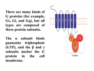 Chemical Signalling.pptx