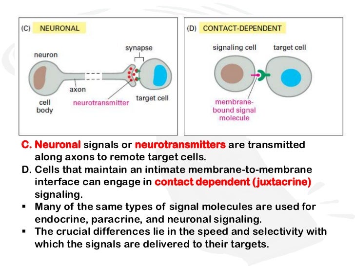 Chemical signals