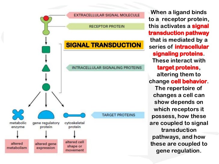 Chemical signals
