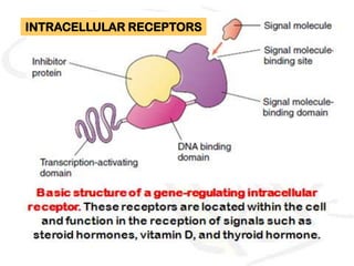 INTRACELLULAR RECEPTORS
 