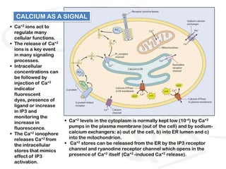 CALCIUM AS A SIGNAL
 Ca+2 ions act to
  regulate many
  cellular functions.
 The release of Ca+2
  ions is a key event
  in many signaling
  processes.
 Intracellular
  concentrations can
  be followed by
  injection of Ca+2
  indicator
  fluorescent
  dyes, presence of
  ligand or increase
  in IP3 and
  monitoring the
  increase in            Ca+2 levels in the cytoplasm is normally kept low (10-4) by Ca+2
  fluorescence.           pumps in the plasma membrane (out of the cell) and by sodium-
 The Ca+2 ionophore      calcium exchangers: a) out of the cell, b) into ER lumen and c)
  releases Ca+2 from      into the mitochondrion.
  the intracellular      Ca+2 stores can be released from the ER by the IP3 receptor
  stores that mimics      channel and ryanodine receptor channel which opens in the
  effect of IP3           presence of Ca+2 itself (Ca+2 -induced Ca+2 release).
  activation.
 