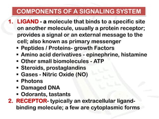 COMPONENTS OF A SIGNALING SYSTEM
1. LIGAND - a molecule that binds to a specific site
   on another molecule, usually a protein receptor;
   provides a signal or an external message to the
   cell; also known as primary messenger
    Peptides / Proteins- growth Factors
    Amino acid derivatives - epinephrine, histamine
    Other small biomolecules - ATP
    Steroids, prostaglandins
    Gases - Nitric Oxide (NO)
    Photons
    Damaged DNA
    Odorants, tastants
2. RECEPTOR- typically an extracellular ligand-
   binding molecule; a few are cytoplasmic forms
 