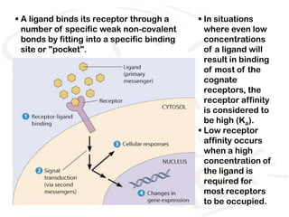  A ligand binds its receptor through a       In situations
  number of specific weak non-covalent         where even low
  bonds by fitting into a specific binding     concentrations
  site or "pocket".                            of a ligand will
                                               result in binding
                                               of most of the
                                               cognate
                                               receptors, the
                                               receptor affinity
                                               is considered to
                                               be high (Ka).
                                              Low receptor
                                               affinity occurs
                                               when a high
                                               concentration of
                                               the ligand is
                                               required for
                                               most receptors
                                               to be occupied.
 