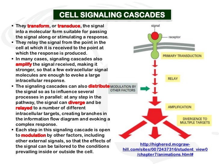 Chemical signals
