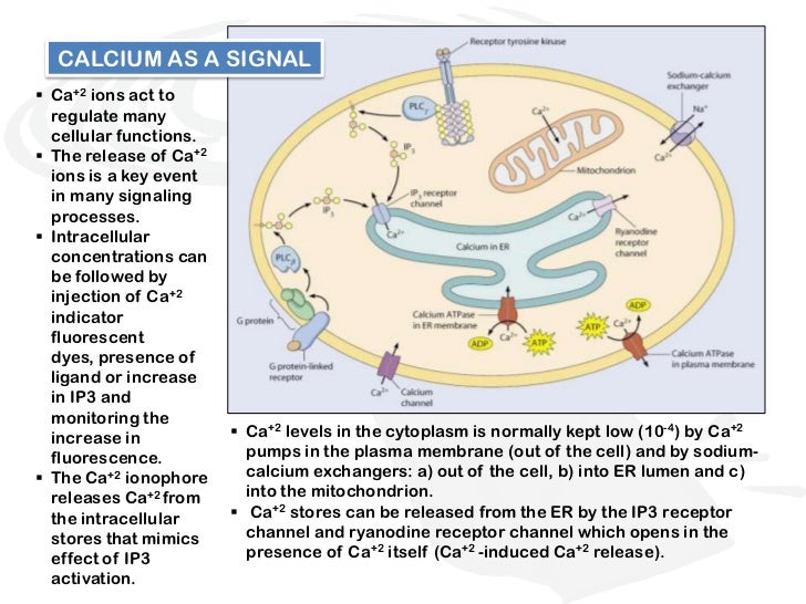 Chemical signals