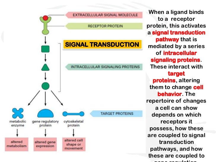 Chemical signals