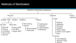 Chemical sterilization | PDF