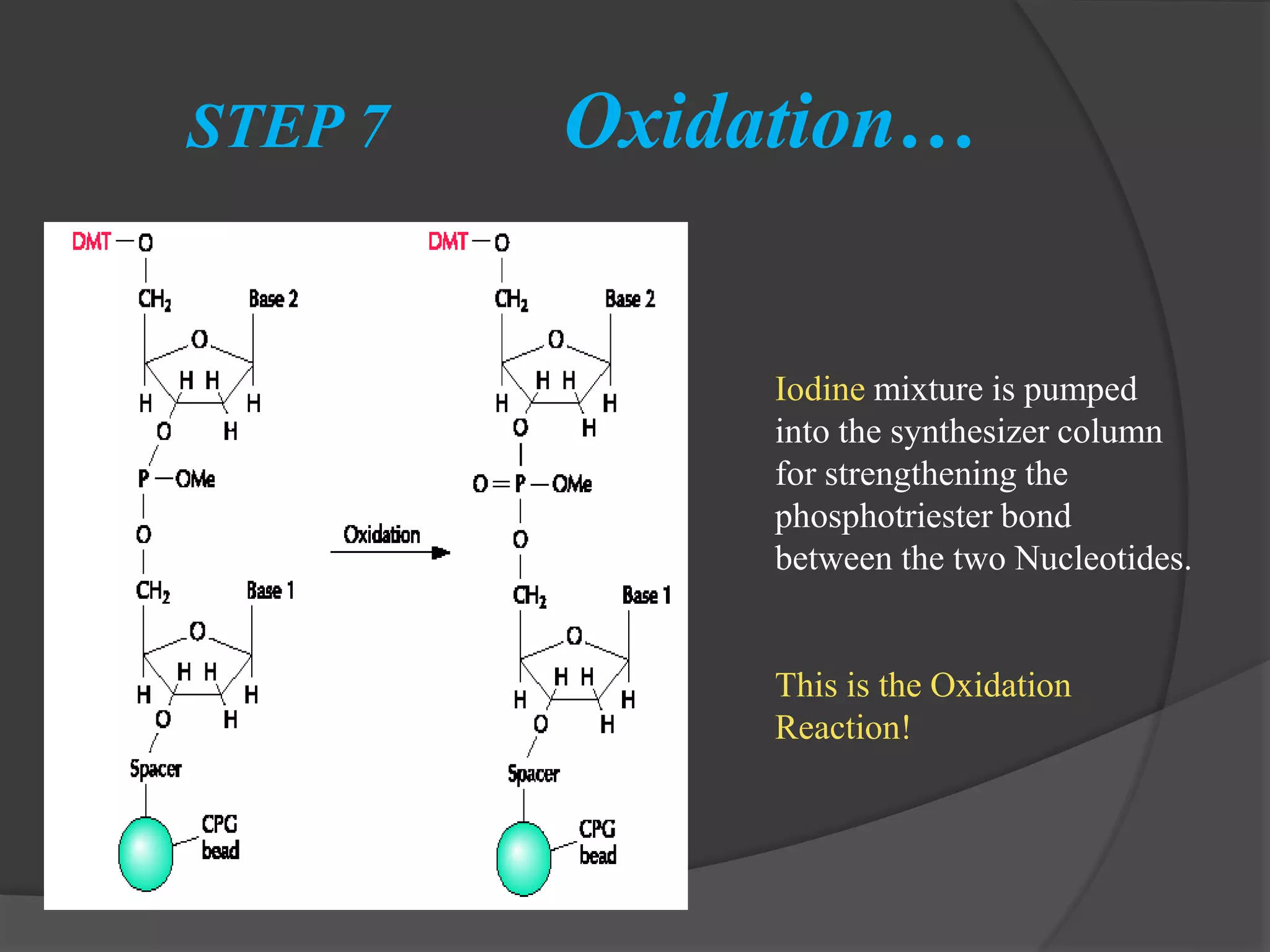 Chemical synthesis of dna by prabhu thirusangu pptx chemistry science