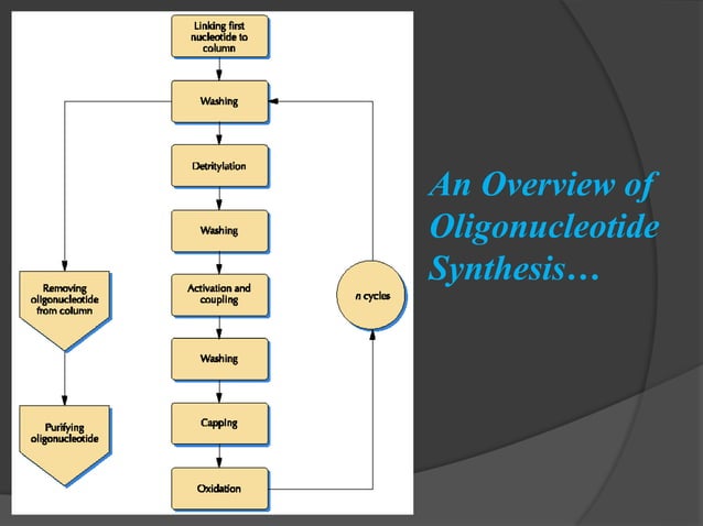 Chemical synthesis of DNA By Prabhu Thirusangu | PPT
