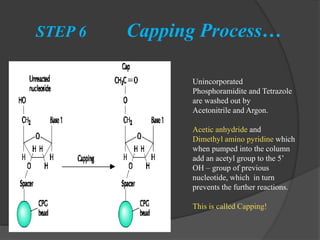 Chemical synthesis of DNA By Prabhu Thirusangu | PPT