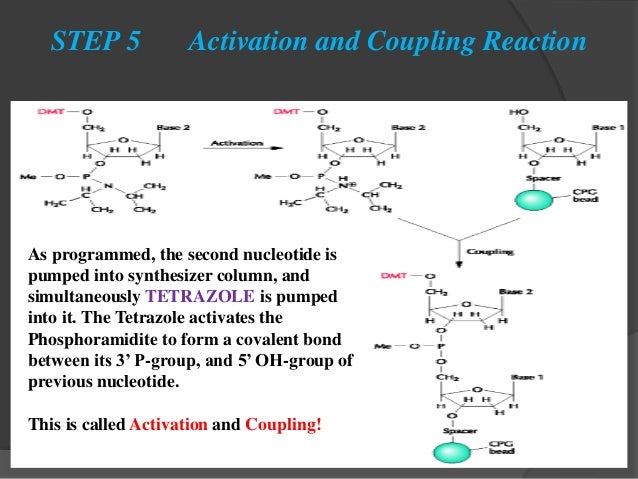 Chemical Synthesis Of Dna By Prabhu Thirusangu