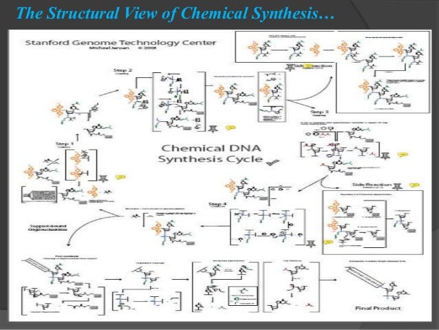 Chemical synthesis of DNA By Prabhu Thirusangu