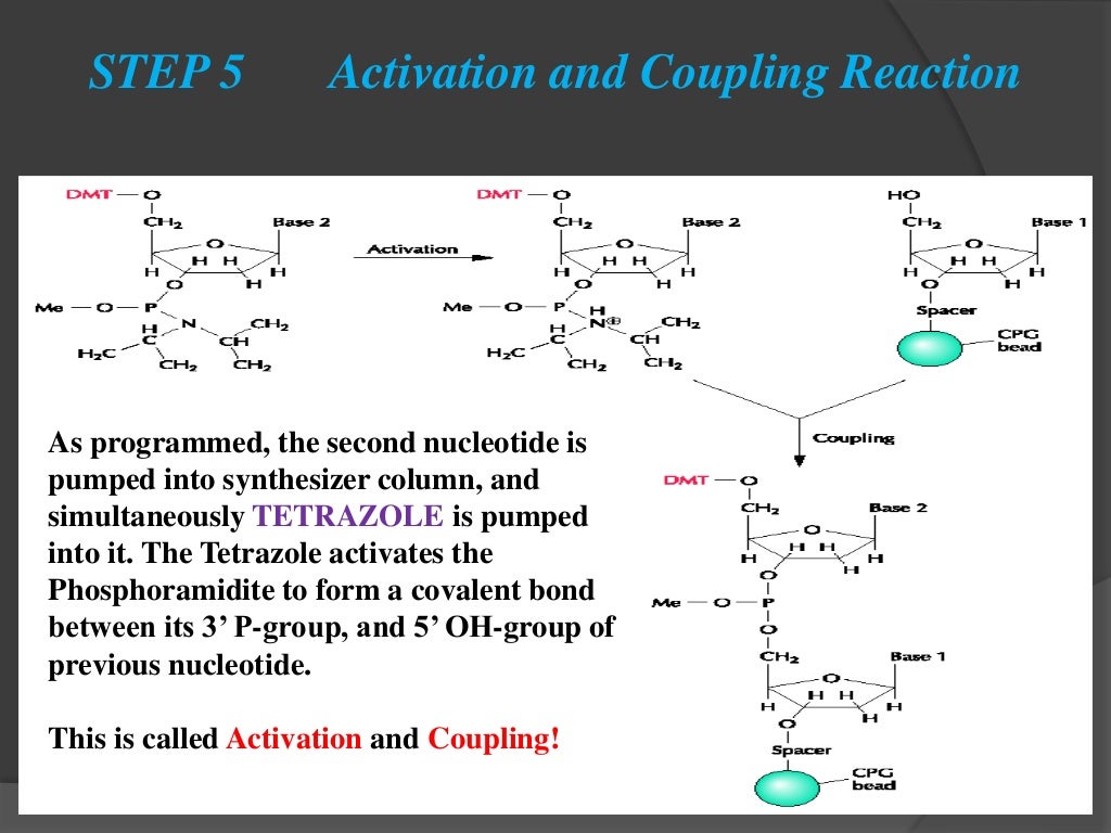 Custom gene synthesis picture