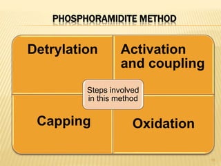 PHOSPHORAMIDITE METHOD
Detrylation Activation
and coupling
Capping Oxidation
Steps involved
in this method
15
 