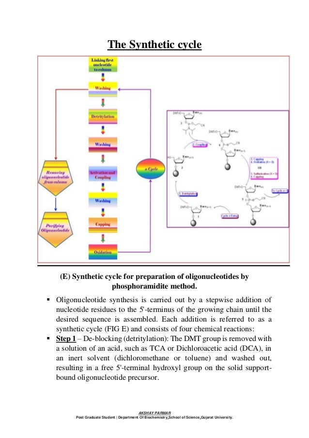 Chemical synthesis of gene slideshare picture