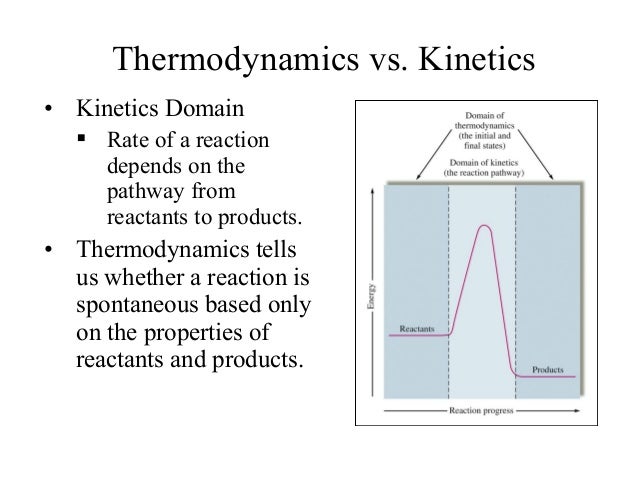 shop exponential sums over