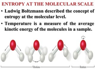 ENTROPY AT THE MOLECULAR SCALE
• Ludwig Boltzmann described the concept of
entropy at the molecular level.
• Temperature is a measure of the average
kinetic energy of the molecules in a sample.
 