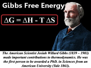 The American Scientist Josiah Willard Gibbs (1839 – 1903)
made important contributions to thermodynamics. He was
the first person to be awarded a PhD. in Sciences from an
American University (Yale 1863).
∆G = ∆H - T ∆S
 