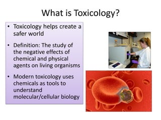 What is Toxicology?
• Toxicology helps create a
safer world
• Definition: The study of
the negative effects of
chemical and physical
agents on living organisms
• Modern toxicology uses
chemicals as tools to
understand
molecular/cellular biology
 
