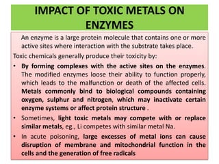 IMPACT OF TOXIC METALS ON
ENZYMES
An enzyme is a large protein molecule that contains one or more
active sites where interaction with the substrate takes place.
Toxic chemicals generally produce their toxicity by:
• By forming complexes with the active sites on the enzymes.
The modified enzymes loose their ability to function properly,
which leads to the malfunction or death of the affected cells.
Metals commonly bind to biological compounds containing
oxygen, sulphur and nitrogen, which may inactivate certain
enzyme systems or affect protein structure .
• Sometimes, light toxic metals may compete with or replace
similar metals, eg., Li competes with similar metal Na.
• In acute poisoning, large excesses of metal ions can cause
disruption of membrane and mitochondrial function in the
cells and the generation of free radicals
 