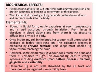 BIOCHEMICAL EFFECTS:
• Hg has strong affinity for S. It interferes with enzymes function and
protein synthesis by binding to sulfohydryl or thiol groups.
• The biochemical toxicology of Hg depends on the chemical form
and entrance route into the body.
Elemental Hg:
• Found in liquid form, easily vaporises at room temperature
and is well absorbed through inhalation. From lungs it
dissolves in blood plasma and from there it has access to
diffuse into any cell in body.
• Once inside any cell in the body, Hg vapour itself unreactive, is
oxidised to highly toxic Hg+2 ion. This oxidation process is
mediated by enzyme catalase. This keeps most inhaled Hg
vapour from reaching the brain.
• However, some elemental Hg vapour does reach the brain and
there it is oxidised to Hg2+. This divalent Hg leads to strange
systems including erethism (mad hatters disease), tremors,
gingivitis and excitability.
• Elemental Hg is not well absorbed by the GI tract and
therefore when ingested is only mildly toxic.
 