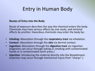 Entry in Human Body
Routes of Entry into the Body
Route of exposure describes the way the chemical enters the body.
Chemicals may have serious effects by one route, and minimal
effects by another. Hazardous chemicals may enter the body by:
• Inhaling: Absorption through the respiratory tract via inhalation.
• Contact: Absorption through the skin via dermal contact.
• Ingestion: Absorption through the digestive tract via ingestion.
(Ingestion can occur through eating or smoking with contaminated
hands or in contaminated work areas.)
• Injection: Introducing the material directly into the bloodstream.
(Injection may occur through mechanical injury from "sharps".)
 