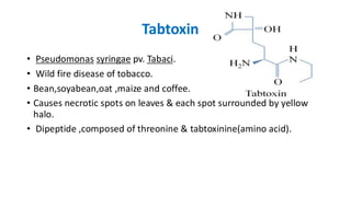 Tabtoxin Structure Plant Pathology and Plant Protection,Chemical weapons of pathogens | PDF