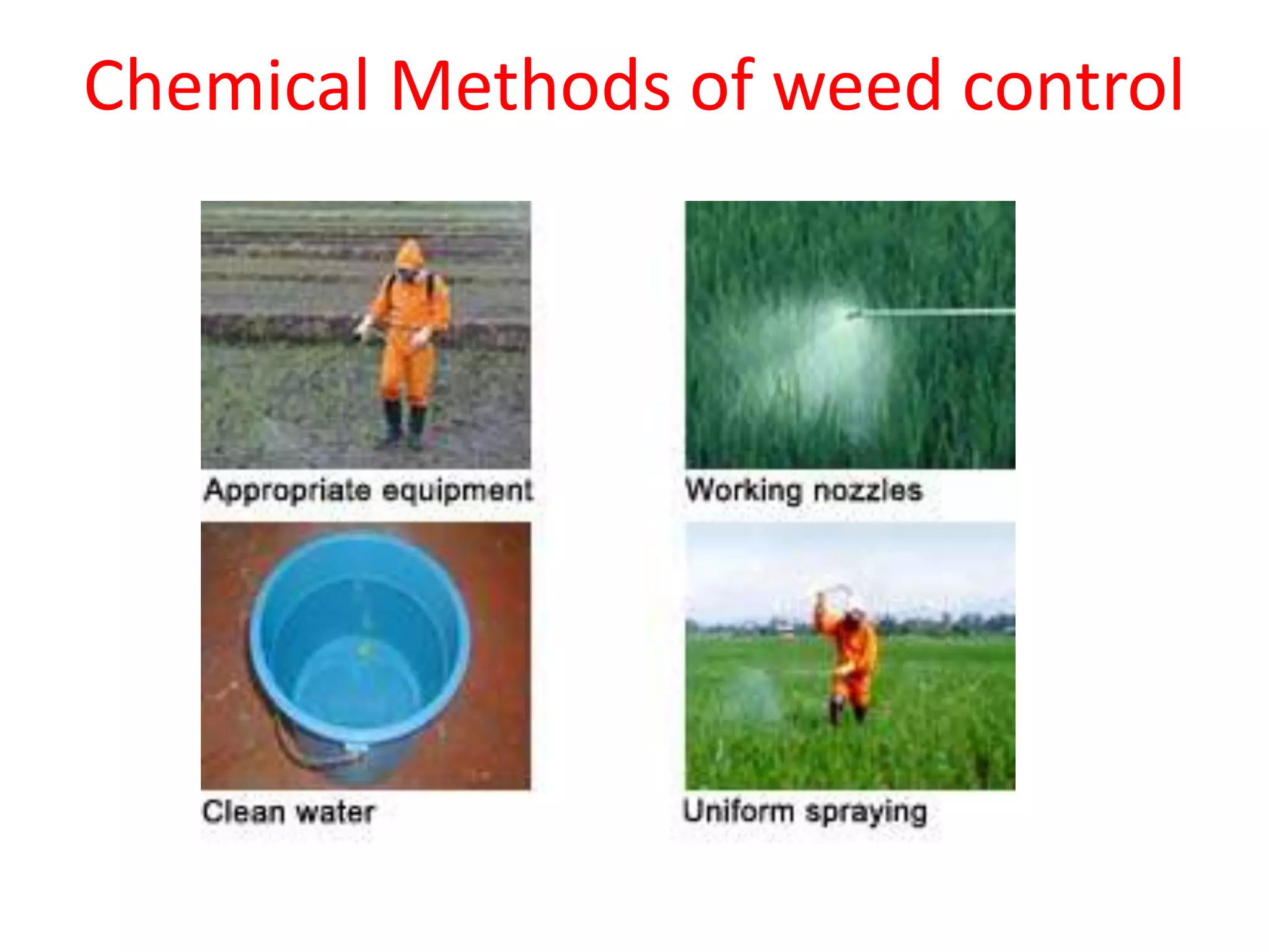 Chemical weed control PPT