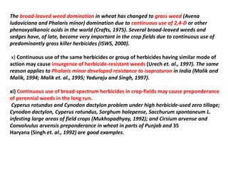 The broad-leaved weed domination in wheat has changed to grass weed (Avena
ludoviciana and Phalaris minor) domination due to continuous use of 2,4-D or other
phenoxyalkanoic acids in the world (Crafts, 1975). Several broad-leaved weeds and
sedges have, of late, become very important in the crop fields due to continuous use of
predominantly grass killer herbicides (ISWS, 2000).
x) Continuous use of the same herbicides or group of herbicides having similar mode of
action may cause insurgence of herbicide-resistant weeds (Urech et. al., 1997). The same
reason applies to Phalaris minor developed resistance to isoproturon in India (Malik and
Malik, 1994; Malik et. al., 1995; Yaduraju and Singh, 1997).
xi) Continuous use of broad-spectrum herbicides in crop-fields may cause preponderance
of perennial weeds in the long run.
Cyperus rotundus and Cynodon dactylon problem under high herbicide-used zero tillage;
Cynodon dactylon, Cyperus rotundus, Sorghum halepense, Sacchurum spontaneum L.
infesting large areas of field crops (Mukhopadhyay, 1992); and Cirsium arvense and
Convolvulus arvensis preponderance in wheat in parts of Punjab and 35
Haryana (Singh et. al., 1992) are good examples.
 