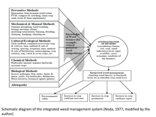 Schematic diagram of the integrated weed management system (Noda, 1977; modified by the
author)
 